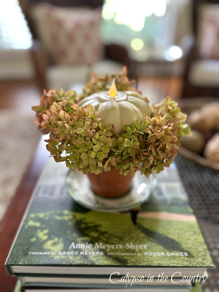 White pumpkin with candle and hydrangeas in terra cotta pot on coffee table - decorating with white pumpkins