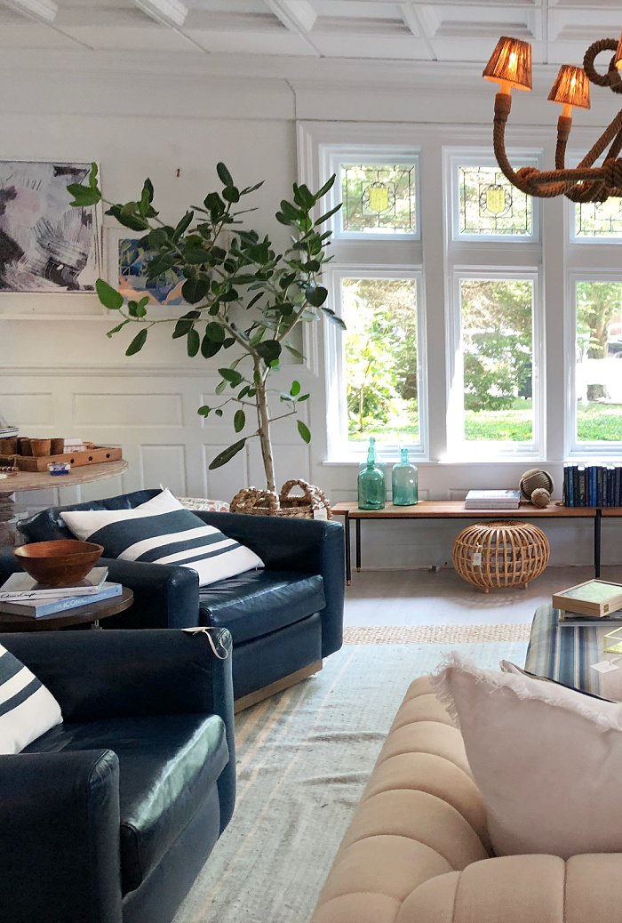 Blue chairs, striped rug, large windows, large plant in furniture store display Hamptons 