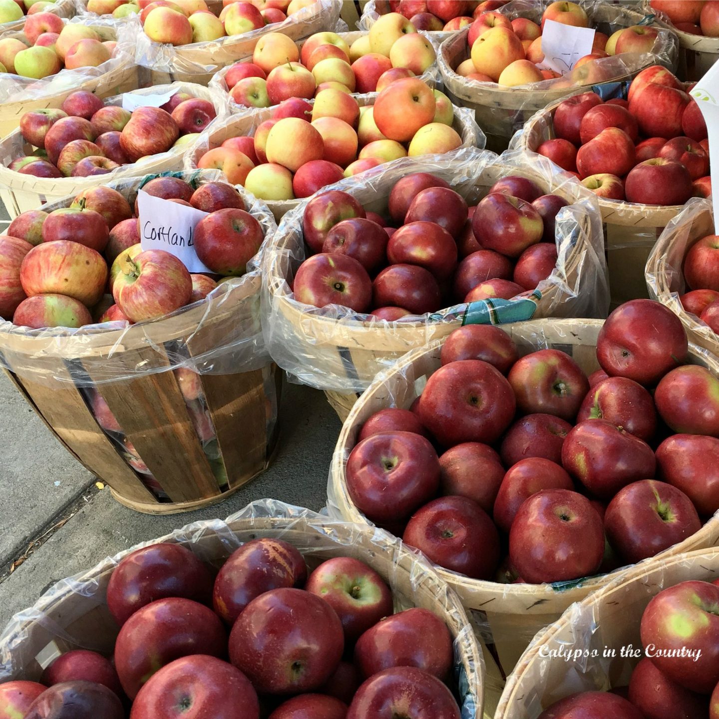 Apples at the farmer's market and other places to spend a fall day