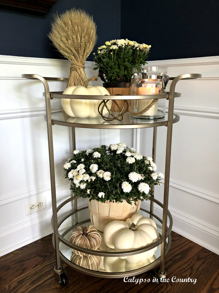 Gold Bar cart styled for fall using neutrals