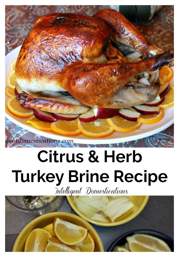 Citrus and Herb Turkey Recipe