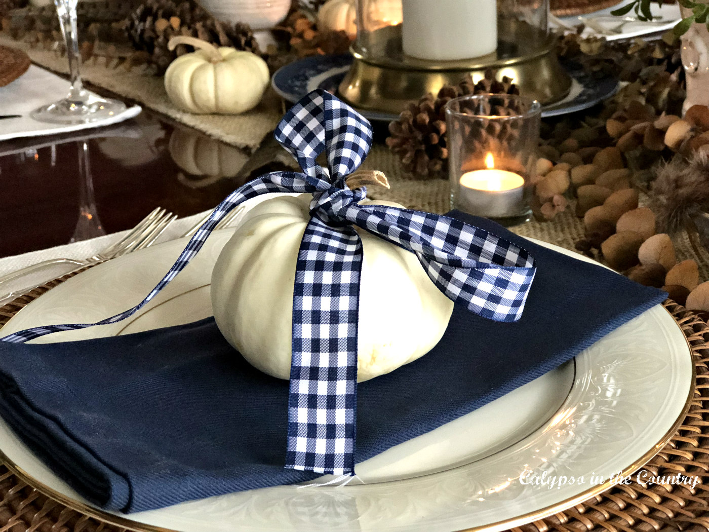 White pumpkin with blue and white gingham bow