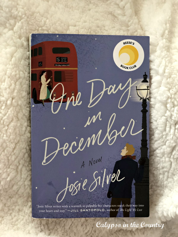 One Day in December book - a sweet love story