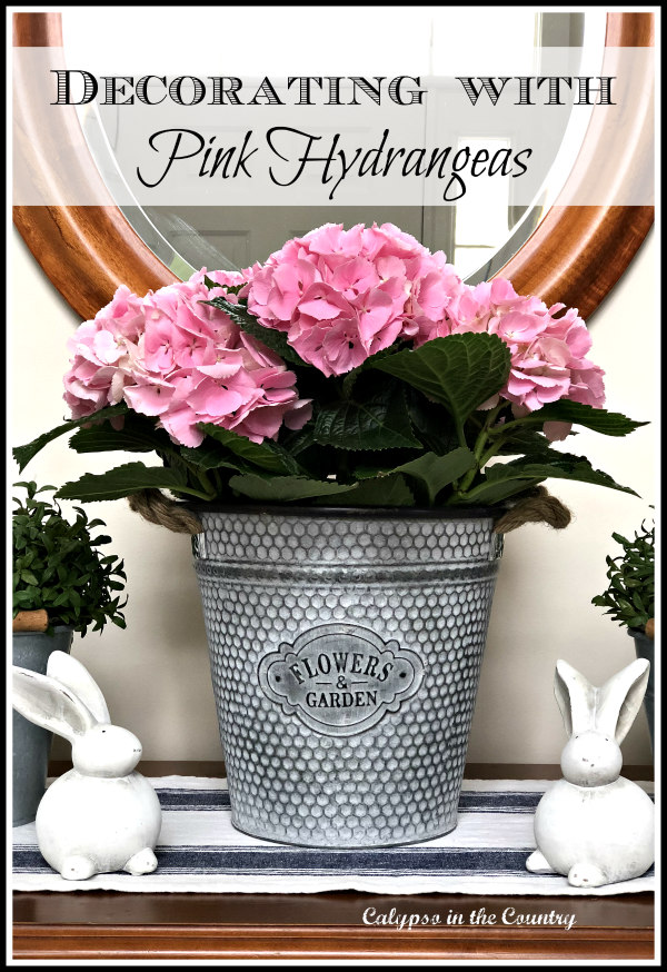 Decorating with Pink Hydrangeas in the spring