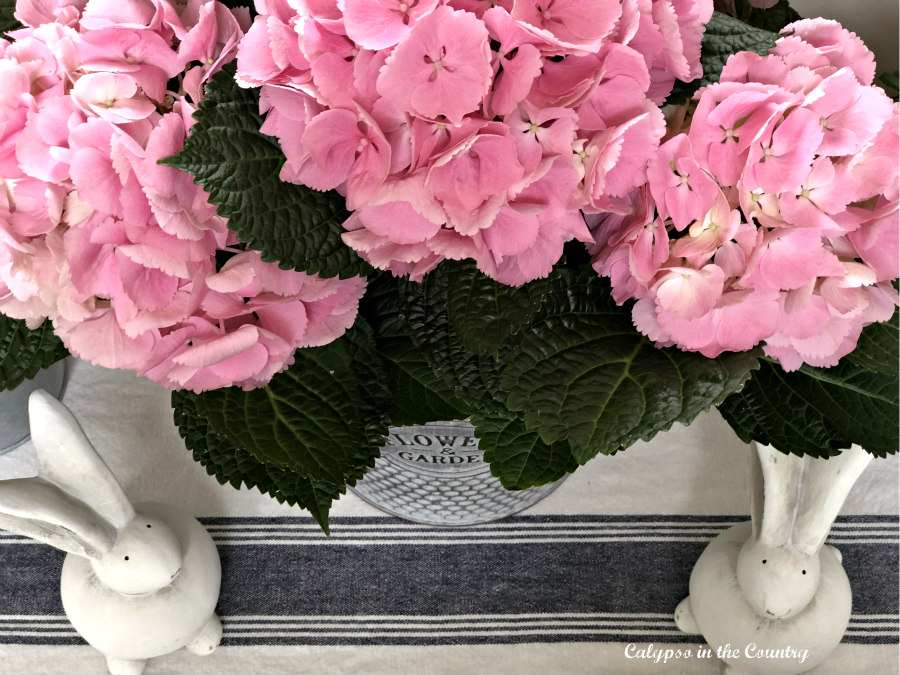 Pink Hydrangeas in the Foyer for Spring - simple decorating ideas