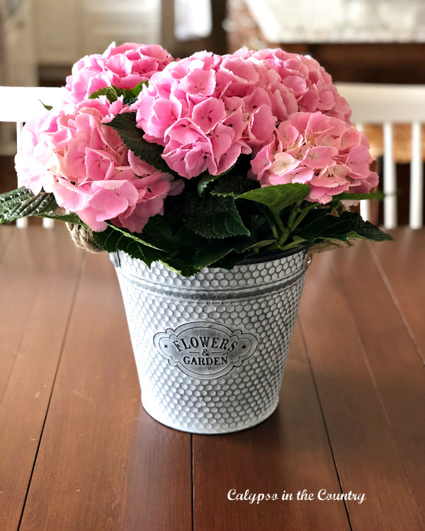 pink hydrangeas in metal container on table