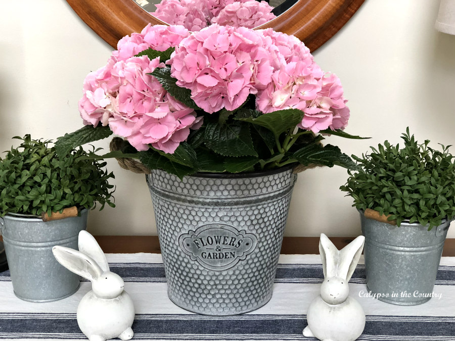 Galvanized Metal container with pink hydrangeas