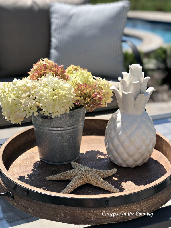 Hydrangeas by the pool - transition decor from summer to fall