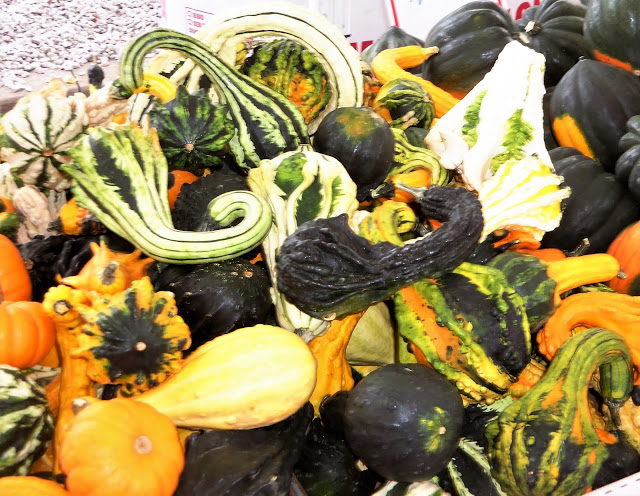 Amish Farmer's Market