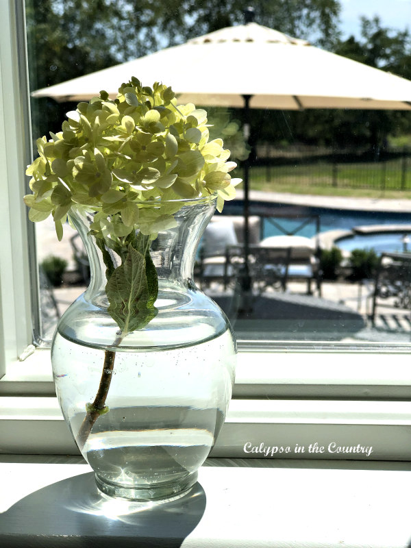 hydrangeas in the window - end of summer decor
