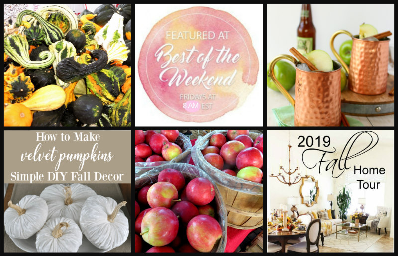 Falling for Fall – Best of the Weekend 09-20-19