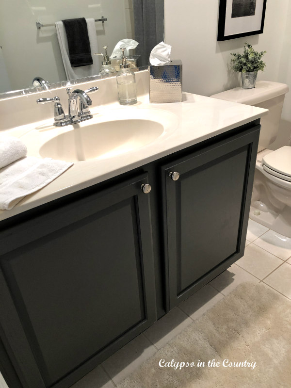 Gray Cabinet in Boys Bathroom Makeover - paint is Kendall Charcoal by Benjamin Moore