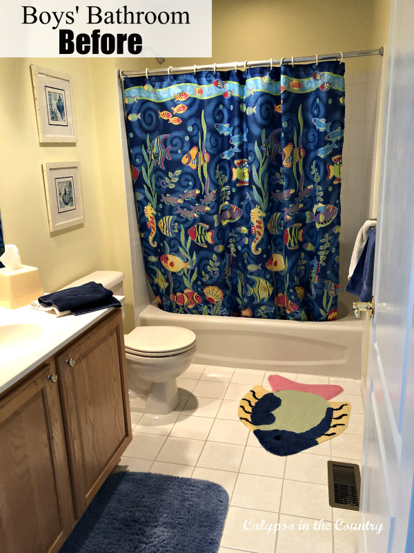 Dazzling teen boy bathroom ideas Before And After Boys Bathroom Makeover Calypso In The Country