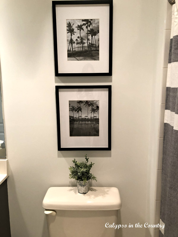 Framed black and white photos over toiled