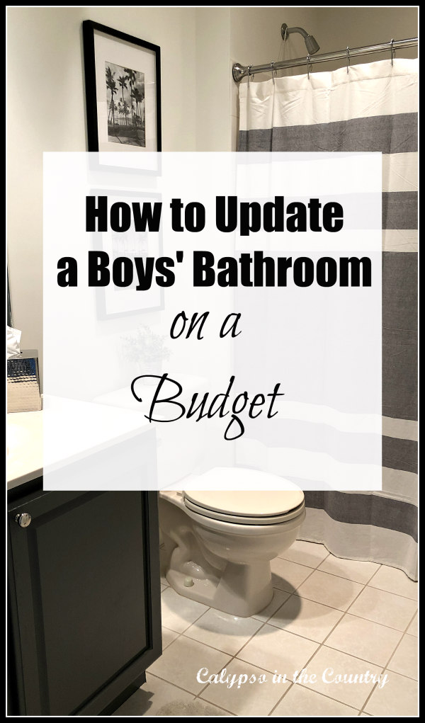 Awesome teen boy bathroom ideas Before And After Boys Bathroom Makeover Calypso In The Country