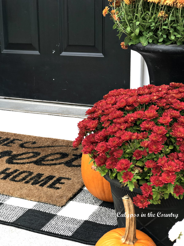 Colorful fall mums on the front porch - fall and Halloween decorating ideas