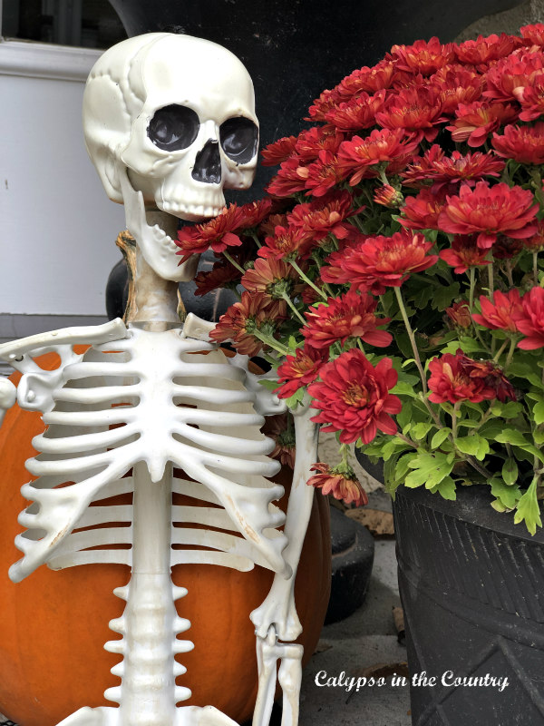 Skeleton on porch - one of our Halloween greeters