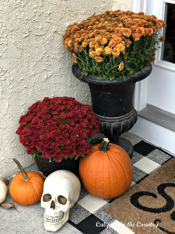 Skull and pumpkins - from fall to Halloween on the porch