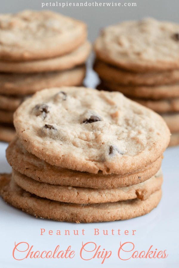 PB Chocolate Chip Cookies