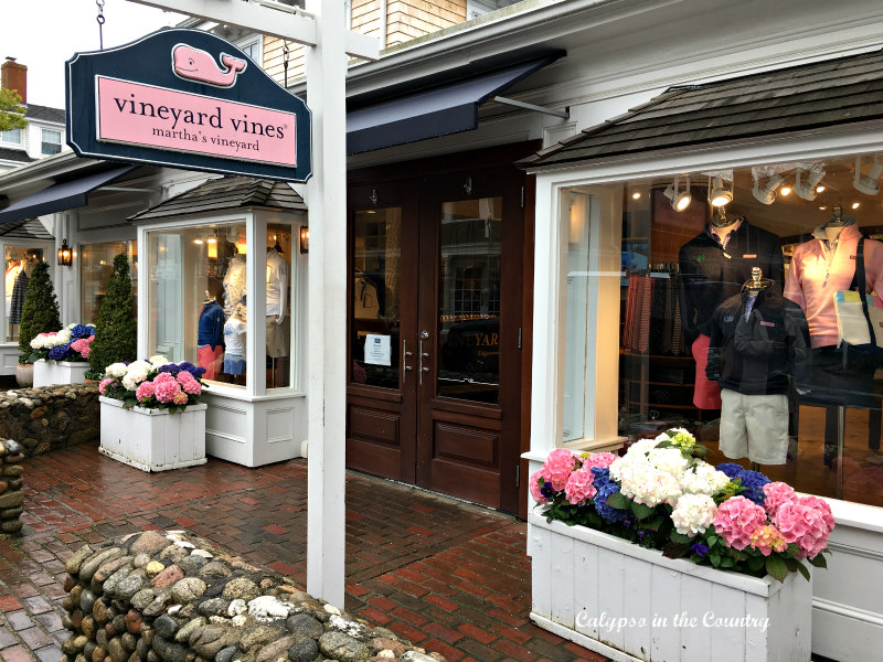Hydrangeas in window boxes in front of the Vineyard Vines Store