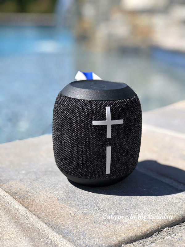 Portable speaker for outdoor entertaining