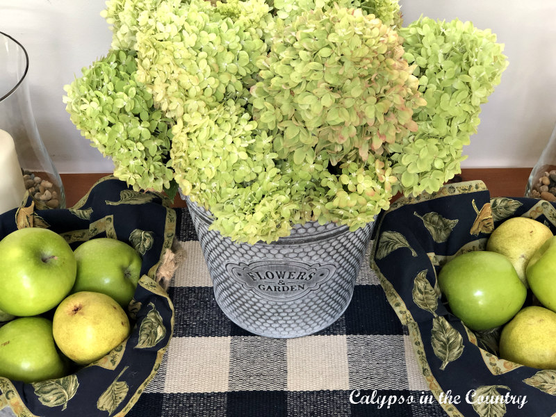 Green hydrangeas and apples for early fall