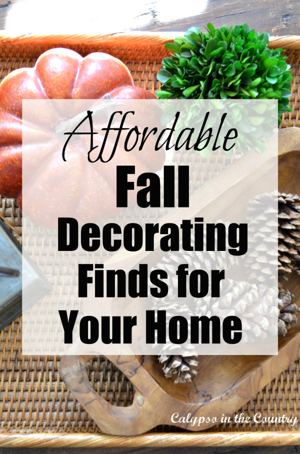 Affordable Fall Decor – Fantastic Finds for Your Home