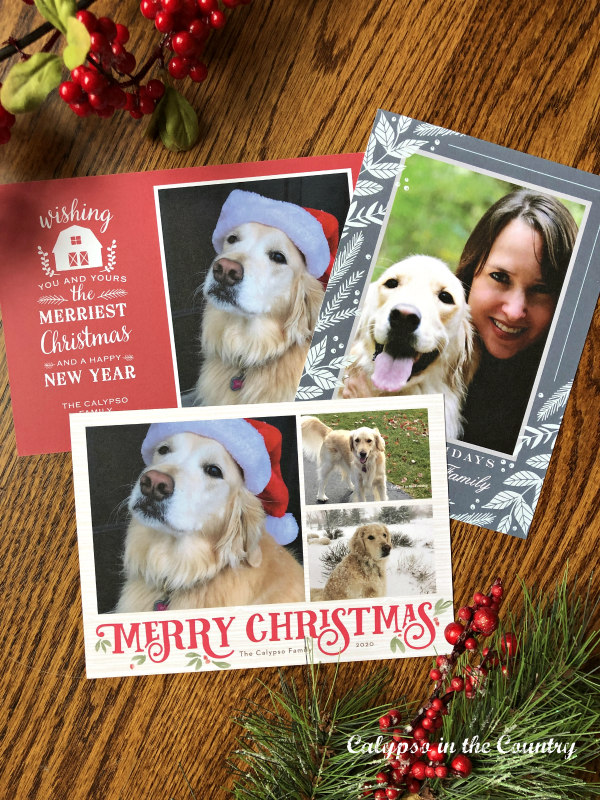 (Sponsored) Basic Invite Personalized Holiday Card Samples