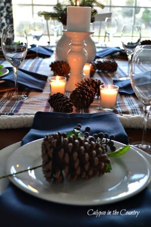 Simple and Cozy Winter Tablescape with Pine Cones - Calypso in the Country
