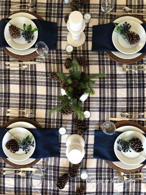 Simple and Cozy Winter Tablescape with Pine Cones - Calypso in the Country