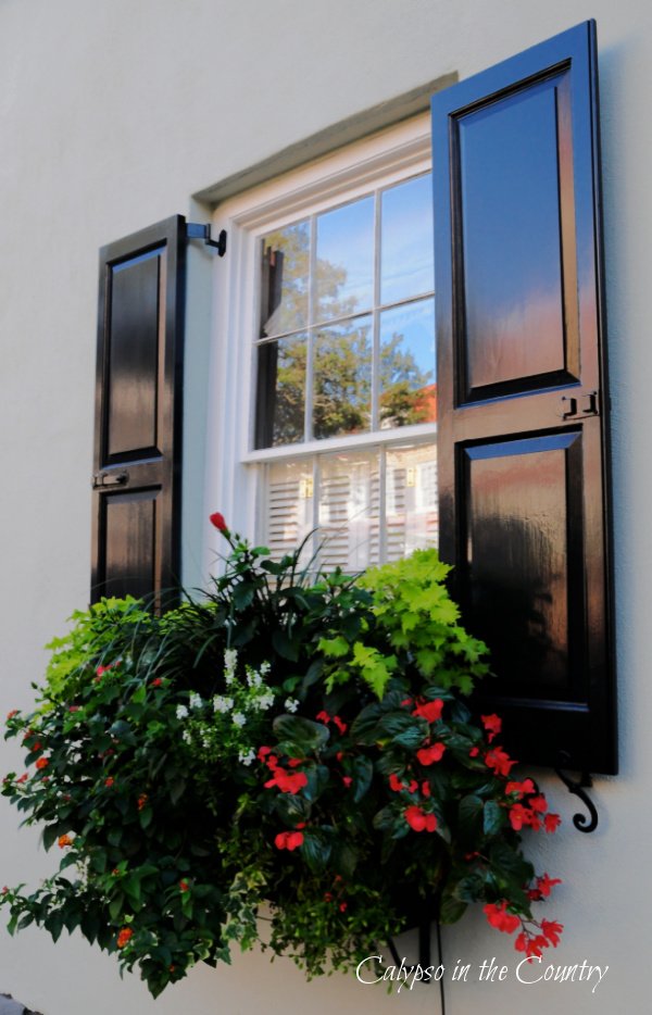 Window box with black shutters