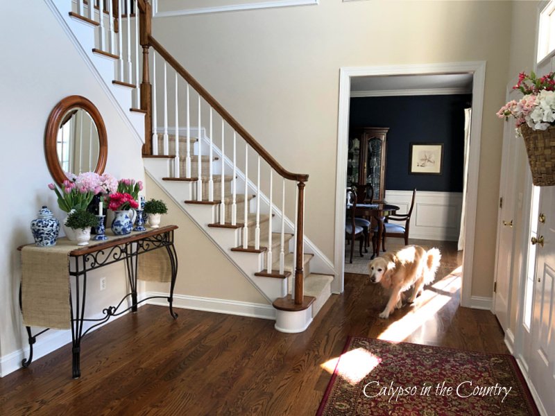 Traditional foyer decorated for spring - with golden retriever