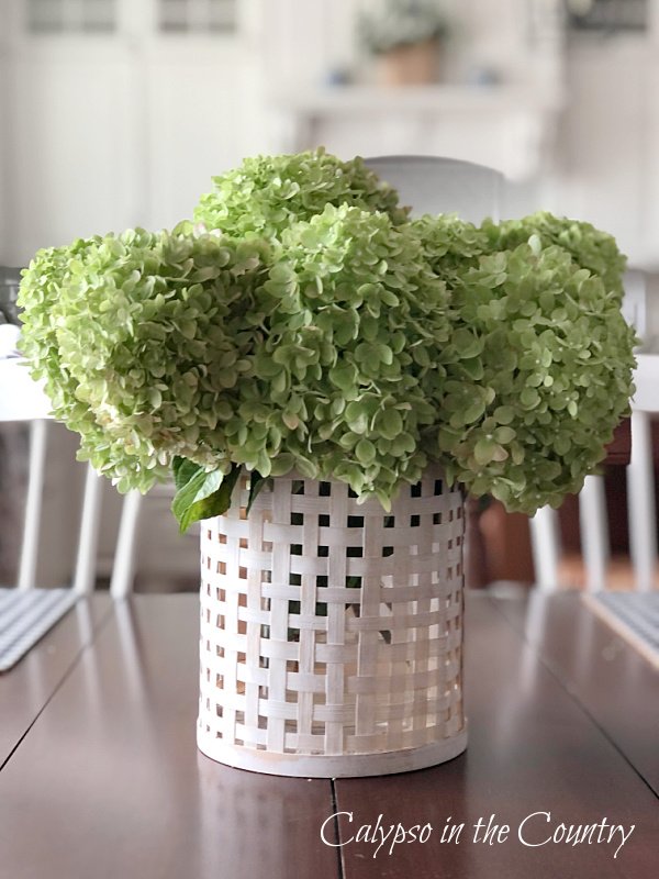 Green hydrangeas in white woven container - early fall decor for the kitchen