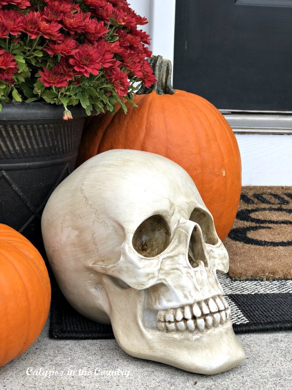 Skull and Pumpkins on porch - almost Halloween decor