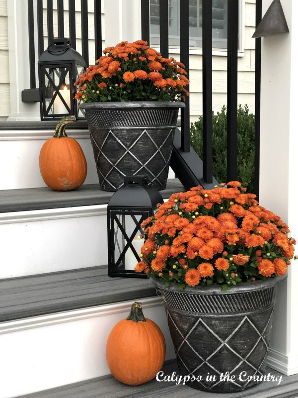 orange mums and pumpkins - Hello October 2021