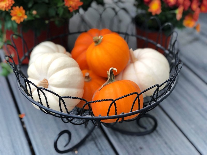 white pumpkins and orange pumpkins in wire bowl - how to decorate with pumpkins for fall