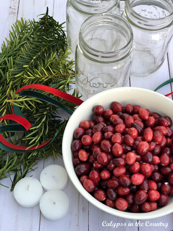 Bowl of cranberries and mason jars 