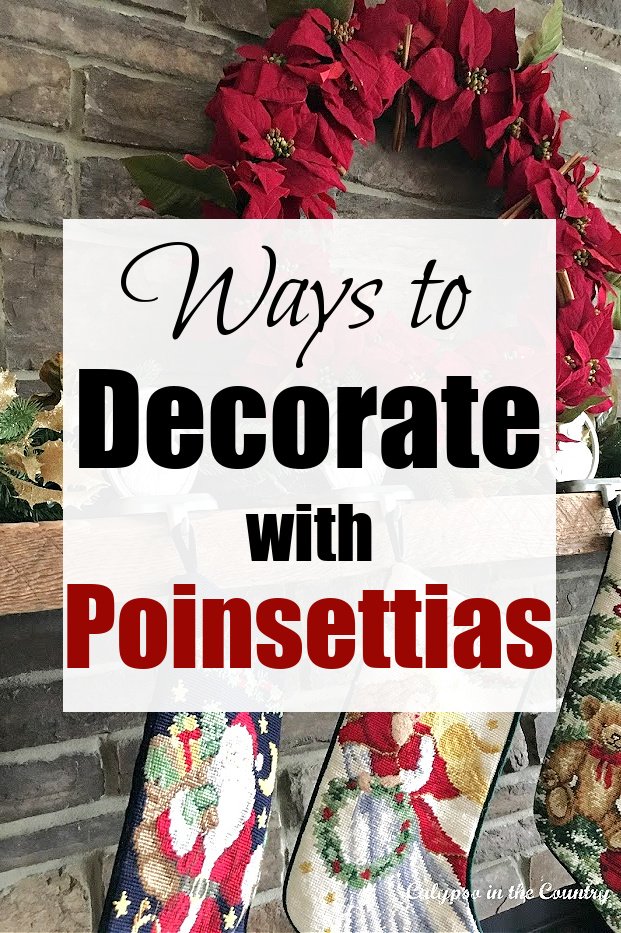 Ways to Decorate with Poinsettias