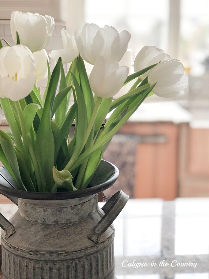 White tulips in galvanized container - hello April