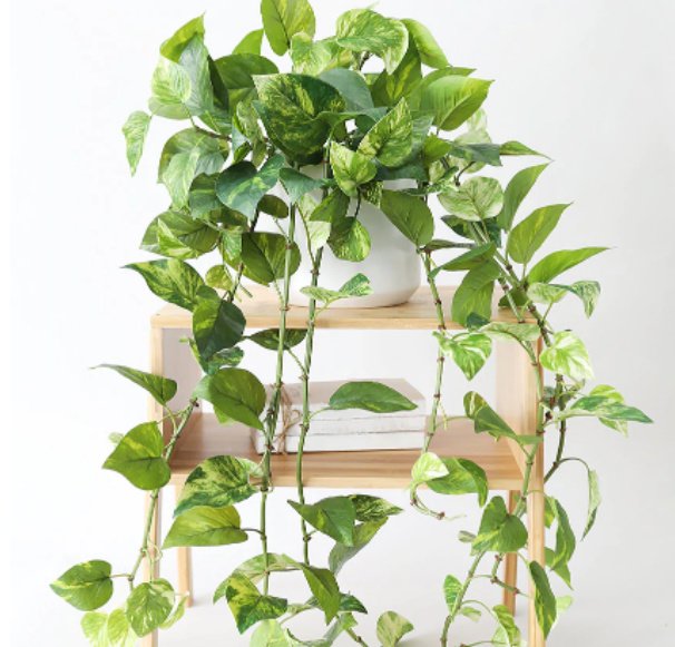 faux pothos plant - how to decorate with fake plants