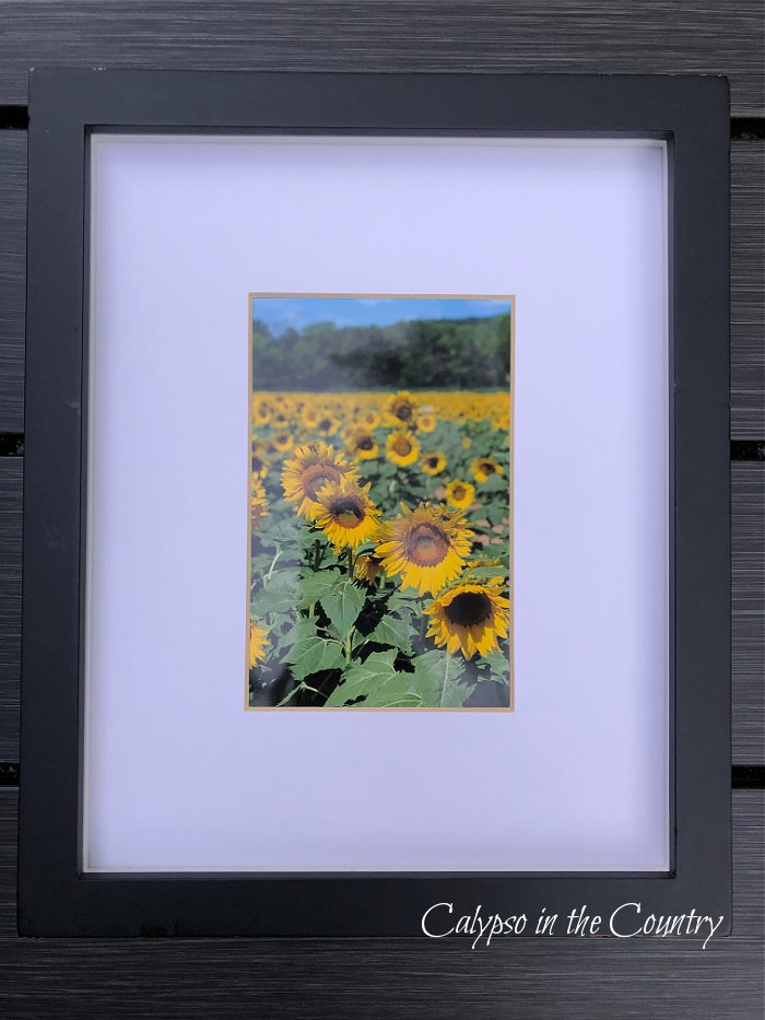 Framed photo of sunflowers - early fall decorating ideas