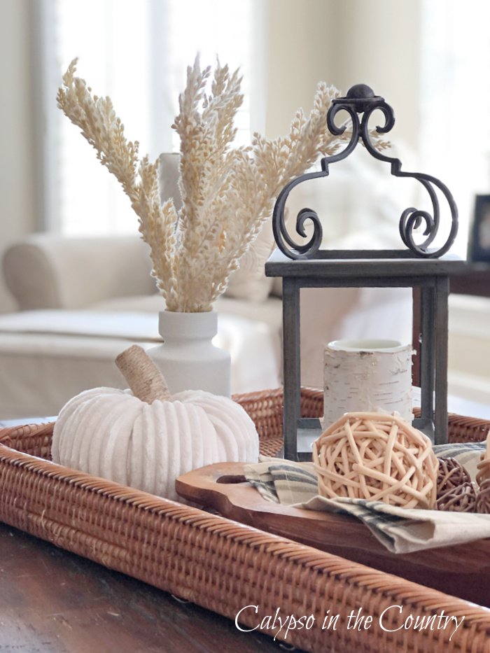 White pumpkin, lantern and pampas grass on rattan tray for fall