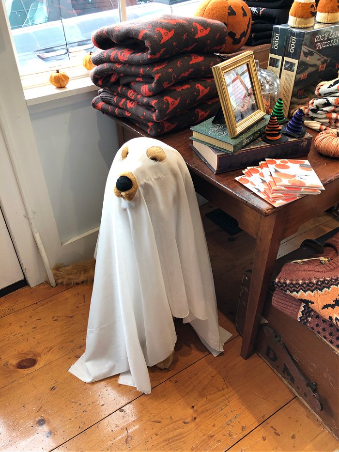 dog ghost costume - October decorating ideas