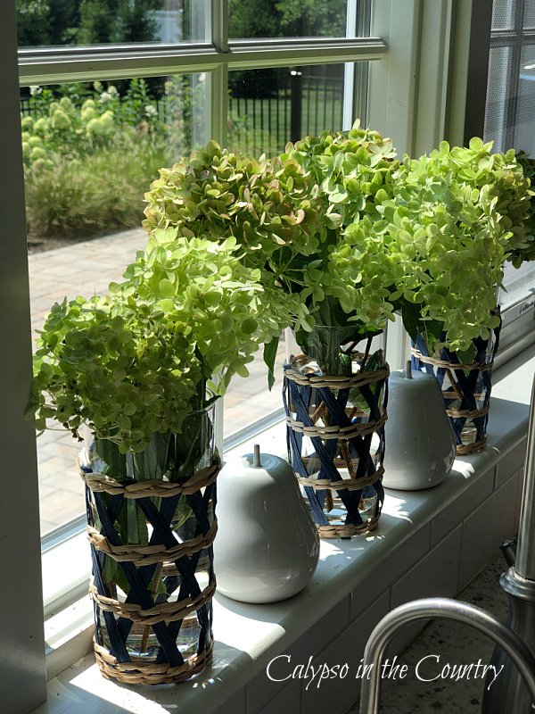 Green hydrangeas on kitchen window sill