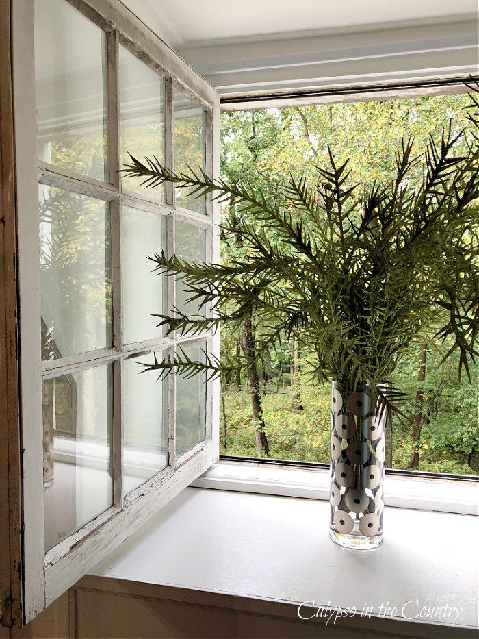 Greener in glass vase on windowsill - window sill decorating ideas