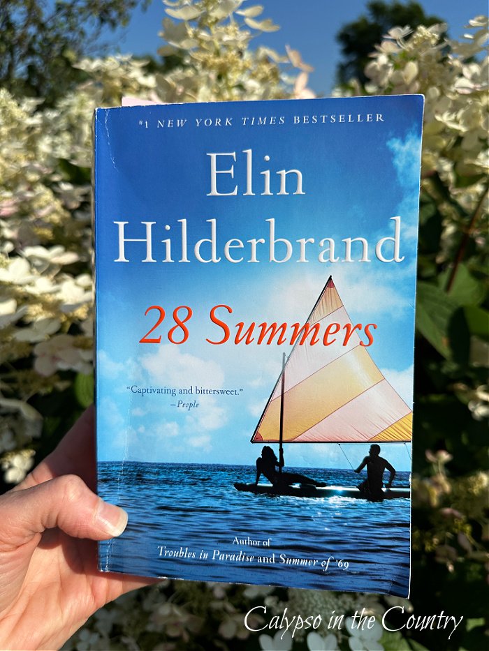 Elin Hilderbrand book 28 Summers - beach bag essentials