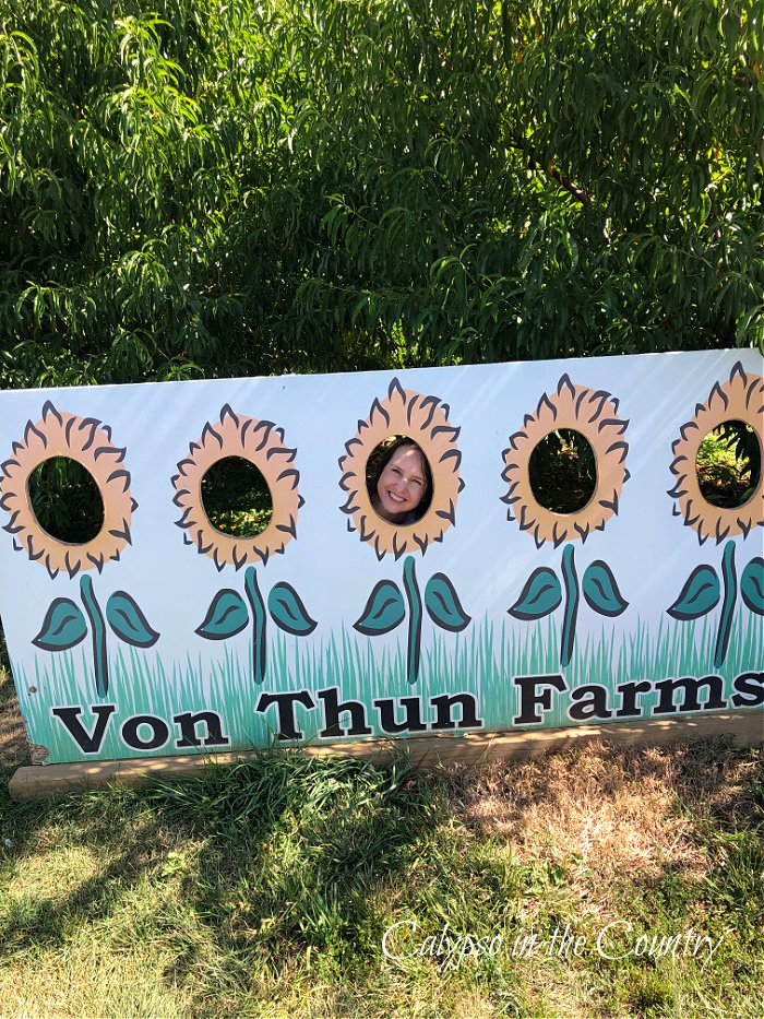 Von Thun Farms sunflower trail cutout sign