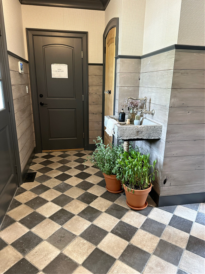 Mudroom with checkerboard floors and limestone sink with plants below 