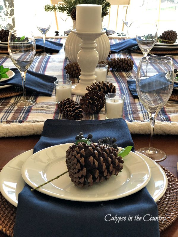 Blue and white tablescape with pine cones - happy snowy weekend