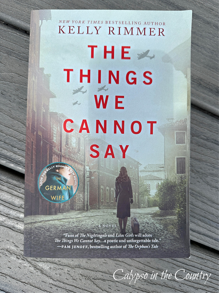 The Things We Cannot Say book - August reading 